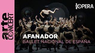 Afanador - Ballet Nacional de España / Marcos Morau - ARTE Concert