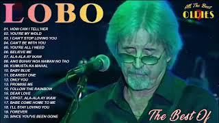 Best Songs Of Lobo │Lobo Greatest Hits Full Collection 2024
