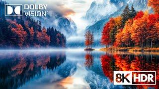 Drifting Through Nature’s Dreamworld in 8K HDR Dolby Vision 60FPS