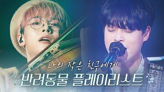 나의 반려동물에게 보내는 노래 Playlist ????????????… ⎮ 난장 LIVE 모음