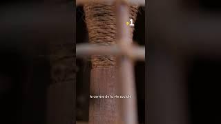 Mémoires : les fondements d'une civilisation