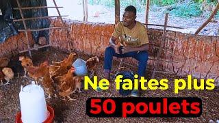 ????URGENT: Arrêtez de faire 50 têtes de Poulets de 3 Mois, Voici pourquoi