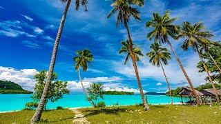 Relaxing Beach Bossa Nova Jazz Music 2024