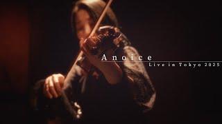 Anoice: Live in Tokyo 2025 (Full Concert) #Anoice